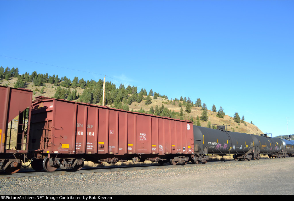 BNSF 808164